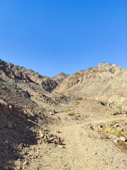 Sinai mountains 