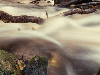 Small creek with blurred water surface. Nature scene with small river. Calm and relaxing mood.