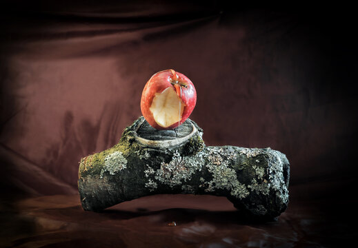 the Fall of Man, Adam, Eve, Garden, Eden, Bible, tree, apple, 