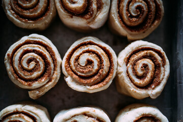 Obraz na płótnie Canvas Close up of three unbaked cinnamon rolls