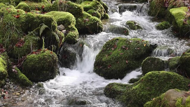 water flowing over rocks with moss