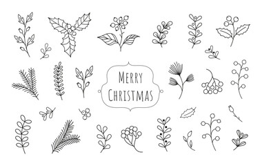 Hand drawn vector winter floral elements. Winter branches and leaves. Hand drawn floral elements. Botanical illustrations.