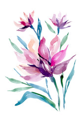 Pink lilies, asters, bouquet, watercolor illustration on a white background. Bouquet with lilies for invitation design.