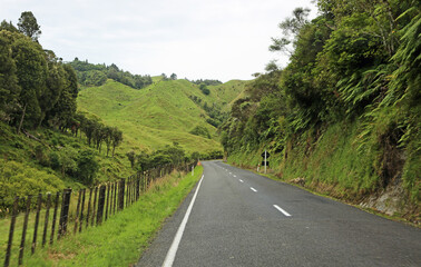 Fototapeta na wymiar Forgotten World Highway - New Zealand