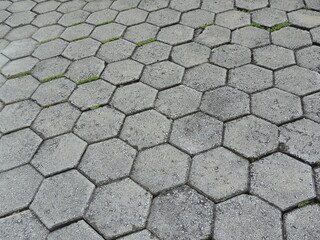 Hexagonal mosaic pavement
