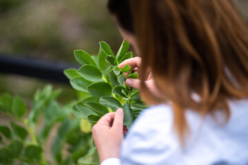 female scientist student in a university. studying plant science doing experiments