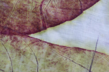 Texture of teak leaf in purple and yellow color from eco print process. Eco-printing is a technique where plants, leaves and flowers leave shapes, color and marks on white fabric background. 