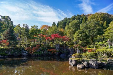 Fototapeta na wymiar 青空バックに見る秋の日本庭園の情景＠福井