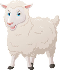 Cute lamb cartoon on white background