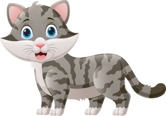 Cute cat cartoon on white background