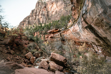 Fototapeta premium Various colors, textures, scenery and rock formations among the Zion National Park landscapes in the American southwest in the state of Utah.