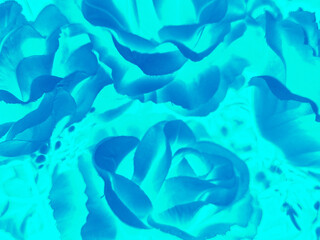 Fototapeta na wymiar Beautiful abstract black blue flowers on white background, light purple flower frame, blue leaves texture, blue background, flowers for Christmas and valentines day, love theme leaves texture