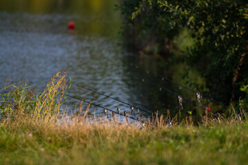 Fishing rods waiting for a fish