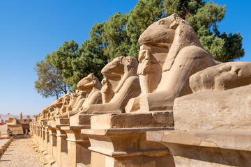 Avenue of Sphinxes or The King's Festivities Road, or Rams Road is a 2.7 km long avenue which...