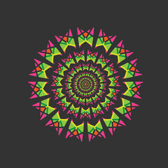 vector colorful mandala with floral shapes