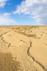 冬の鳥取砂丘とその紋様 鳥取県 鳥取砂丘