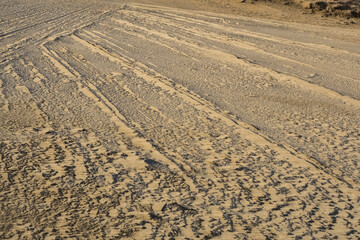冬の鳥取砂丘とその紋様 鳥取県 鳥取砂丘