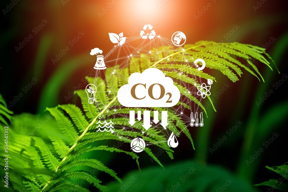 Canvas Prints CO2 concept , icons on nature background