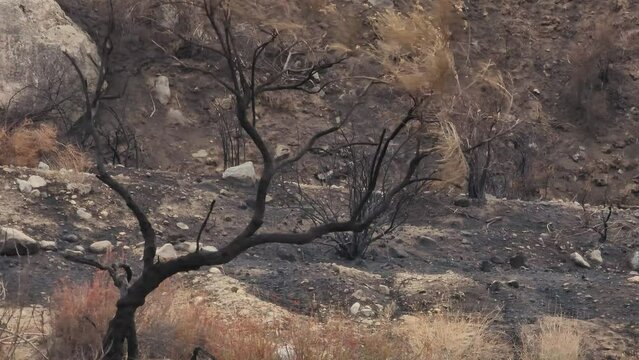 Fairview Fire aftermath mountain landscape in Hemet, California, USA, September 2022