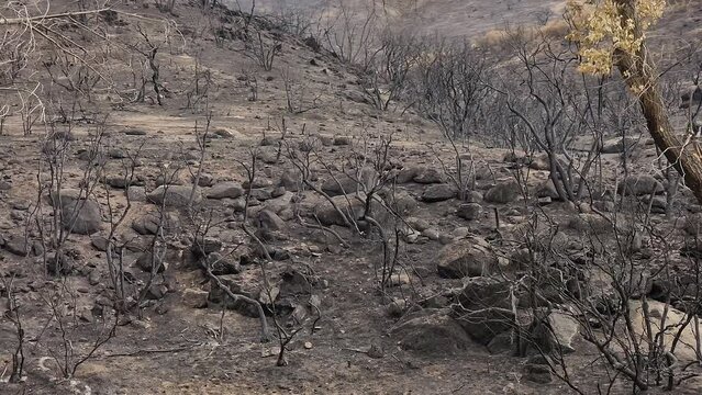 Fairview Fire aftermath mountain landscape in Hemet, California, USA, September 2022