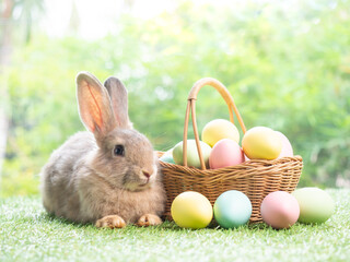 Brown cute rabbit sitting on grass with easter eggs in basket and green nature background.