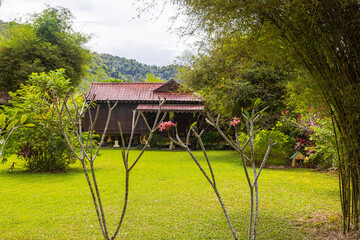 Traditional local wooden house in the forest of the Malaysian island Langkawi. In a clearing in the rainforest, a typical wooden house. Malay houses refer to the vernacular dwellings of the Malays - obrazy, fototapety, plakaty