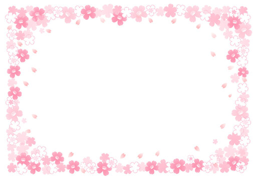 イラスト素材: 桜　飾り枠　春　白（透過背景）