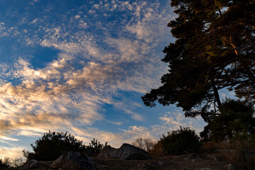 he sunset-colored sky that looked up just before reaching the top of the mountain
