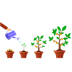  Money tree with gold coins dollars vector image