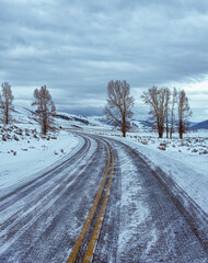 snowy road leads to winter mountains with trees along the sides and snow covered prairie and cloud