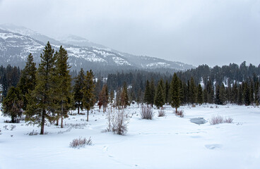 snowing landscape of snow covered mountains, forest and small pond, with fog over sky