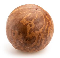 Close up Macadamia nut isolated on white background, Roasted Macadamia nut on White Background With work path.
