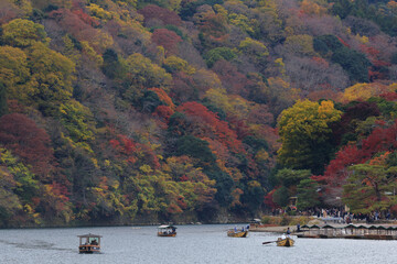 桂川と紅葉