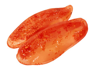 手描き水彩の明太子イラスト