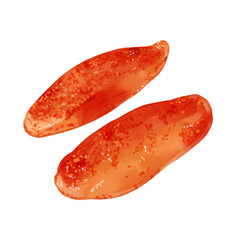 手描き水彩の明太子イラスト単品セット