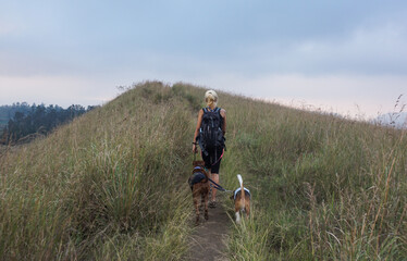 A woman walking with the dogs at Kawah Wurung in Bondowoso, Indonesia.