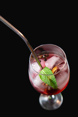Tropical gin tonic drink with cranberry and mint alcohol cocktail