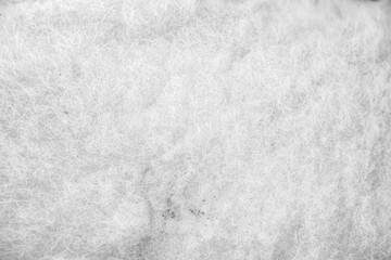 White grey wool sheep texture natural abstract on background