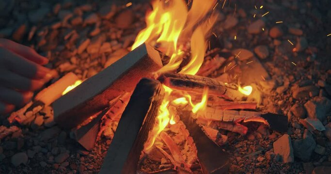 Putting more woods on a camping bone fire burning with flames in slow motion 4K 