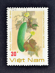 Cancelled postage stamp printed by Vietnam, that shows Squash (benincasa Hispida (thub) Cogn), circa 1988