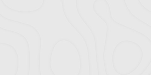 Abstract Luxury white paper cut background, Soft smooth lines curving abstract white paper cut banner. abstract curve line background. white waves decorative papercut design, vector, illustration