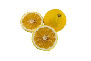 切抜き素材　新鮮で美味しそうな日向夏