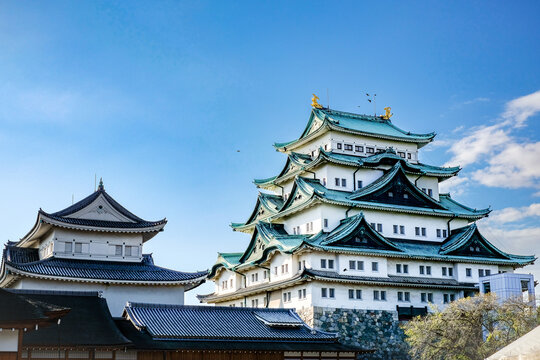 [Film grain] Nagoya, Japan: October 2022 Nagoya castle with a clear sky during autumn leaves seasoning. Nagoya castle is a top landmark in Chubu central of Japan and has samurai as the castle symbol.