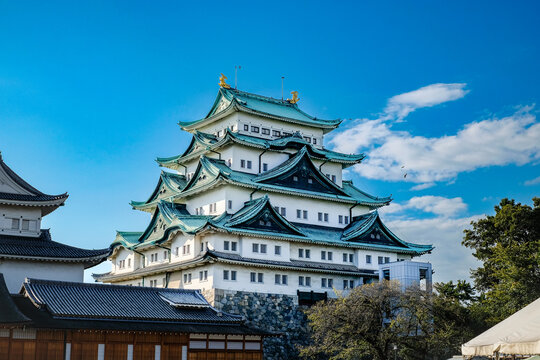 [Film grain] Nagoya, Japan: October 2022 Nagoya castle with a clear sky during autumn leaves seasoning. Nagoya castle is a top landmark in Chubu central of Japan and has samurai as the castle symbol.