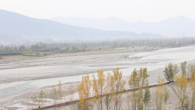 Beautiful aerial view of trees in the autumn winter dormancy period