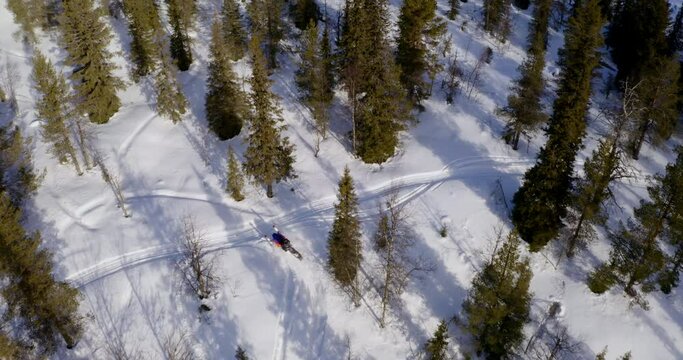 Snowmobile speeding through snowy arctic circle alpine woodland trail aerial Birdseye view