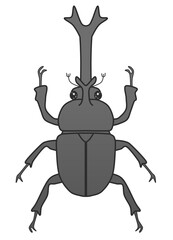 Illustration design of black beetle