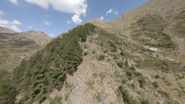 FPV aerial view rising Esterri D'aneu alpine mountain ridge passing woodland trees, Catalonia, Spain