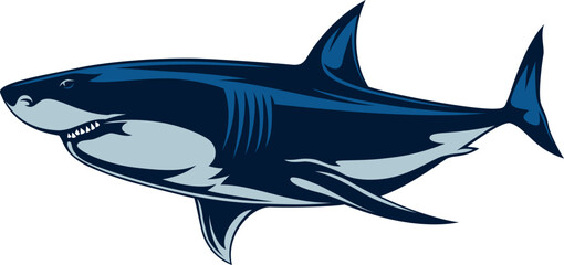 Illustration of Great White Shark