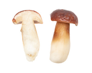Fototapeta premium Fresh boletus mushroom isolated on white background